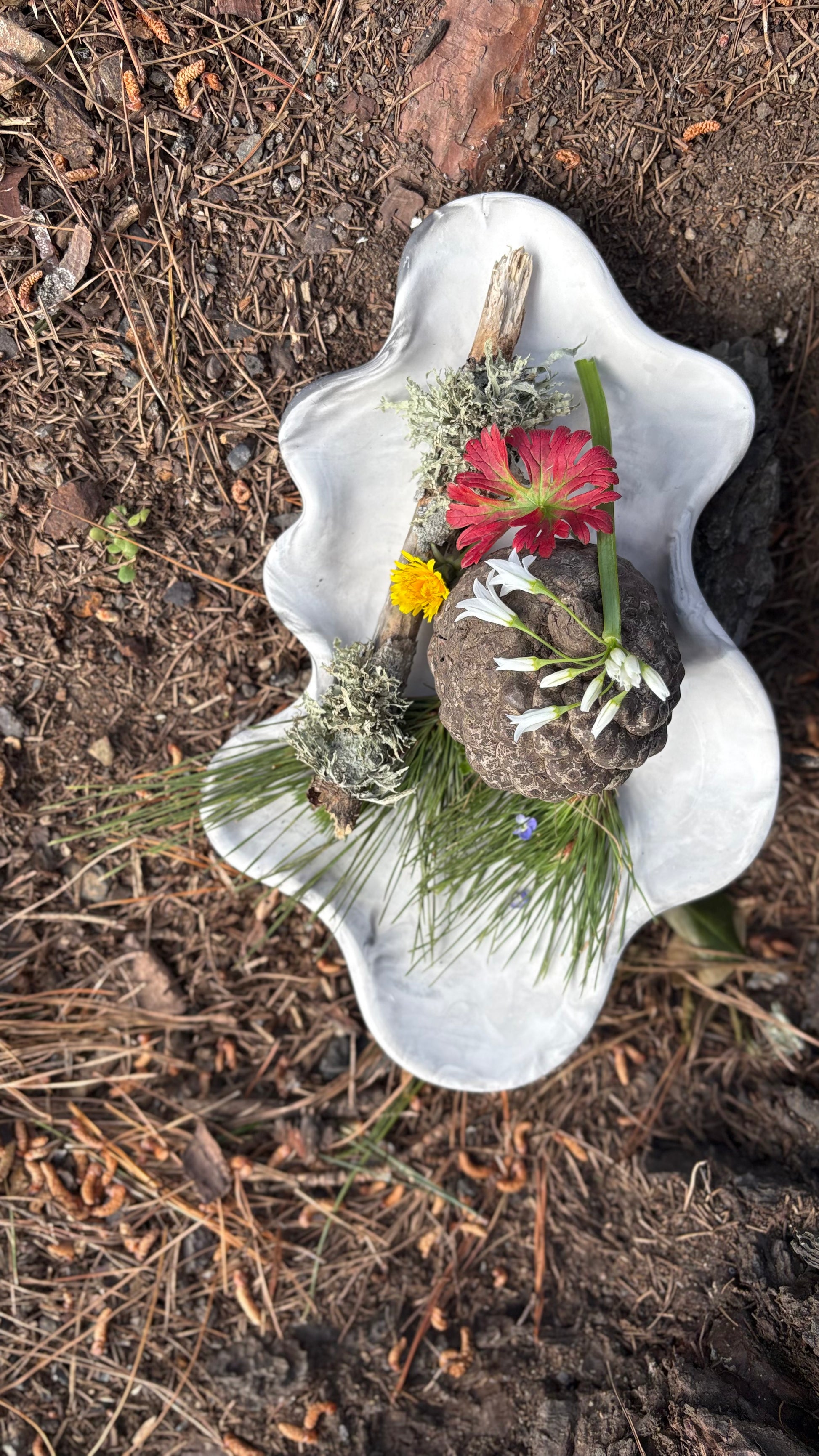 Cloud Tray